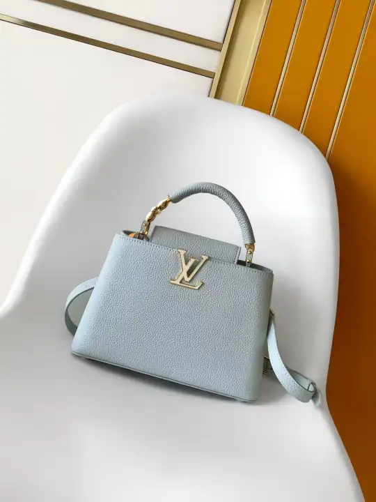 Louis Vuitton（LV） size：26.5 x 17.5 x 9.0𝐜𝐦-102
